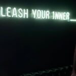 Ajiona Alexus Instagram - Unleash your inner____.