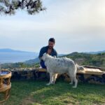 Akın Akınözü Instagram - A Memory of “Ida”