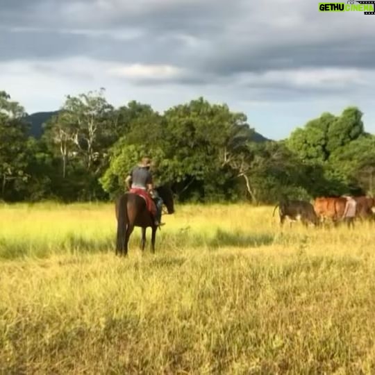 Alanis Guillen - 112K Likes - Reverberando a alegria de ver Pantanal indicado ao @iemmys desse ano como melhor novela! Ver essa obra tão viva e transbordando é lindo demais!
Cada momento desse, viver esse Pantanal, no quente e no frio, no molhado e no seco, com as aguas, com os bichos, se descobrindo bicho, o encontro com o outro, consigo, revirada, tudo que se criou, recriou, se descobriu e se abriu. Foi muito e ainda é.
Um viva a todos os parceiros que construíram essa historia e todos vocês que viveram ela com a gente!!!!
“E é!”, como diria Juma quando é atravessada por algo que ultrapassa a linguagem e fica.