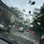 Alanis Guillen Instagram -
