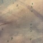 Alanis Guillen Instagram - [ VENDA ENCERRADA ] Estão valendo os lances para a linda obra da artista Alanis Guillen @alanissguillen nesta edição da @aartenafonte em favor da @retirodosartistas.org.br . . * A Arte na Fonte não possui lance inicial . Ou seja qualquer lance já está valendo! 💚🍀 ⠀ ⠀ ⠀ ⠀ ⠀ ⠀ ⠀ ⠀ ⠀ ⠀ ⠀ ⠀ ⠀ ** Para dar seu lance comente o valor desejado neste post. Vence o maior lance comentado até/durante o encerramento ao vivo pelo instagram @arte_na_fonte , TERÇA 12/12/2023, a partir das 19:00! *** Serão válidos também os lances feitos durante a transmissão ao vivo! O valor mínimo para subir o lance é de R$10 acima do lance anterior. ⠀ **** Parte de todo valor arrecadado será destinado o Retiro dos Artistas @retirodosartistas.org.br ⠀ ⠀ ⠀ . ———- Nome: “Velejo” . . Artista: Alanis Guillen @alanissguillen Técnica: acrílica sobre tela. Tamanho: 60cm x 90cm Ano: 2023 Atriz natural de Santo André - São Paulo, iniciou no teatro aos 15 anos, estreando na televisão em 2019 como Rita em Malhação e em 2022 interpretou Juma em Pantanal. Sua relação com artes plásticas, em especial a pintura, surge na adolescência a partir de pesquisas no teatro, despertando o desejo de explorar texturas, cores, imagens e o tempo que se criava ali. Durante a pandemia passou a dividir espaço/tempo, aprender e aprofundar com sua amiga artista plástica Rosangela Brabo, e quando retornou ao Rio de Janeiro iniciou o curso de Pintura Além do Quadro com Bernardo Magina. Seu processo é um experimento pessoal em busca da autoexpressão. Buscando explorar as diversas possibilidades dos materiais utilizados, sem seguir uma técnica ou teoria exata. Idealização: . Ponte Cultural @pontecultural.Art . . Realização . Arte na Fonte @aartenafonte . . Apoio: . Amstel @amstelbr . Vogue Square @voguesquareoficial . Retiro dos Artistas @retirodosartistas.org.br