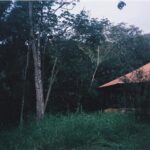 Alanis Guillen Instagram - quando eu penso num lugar eu vejo isso