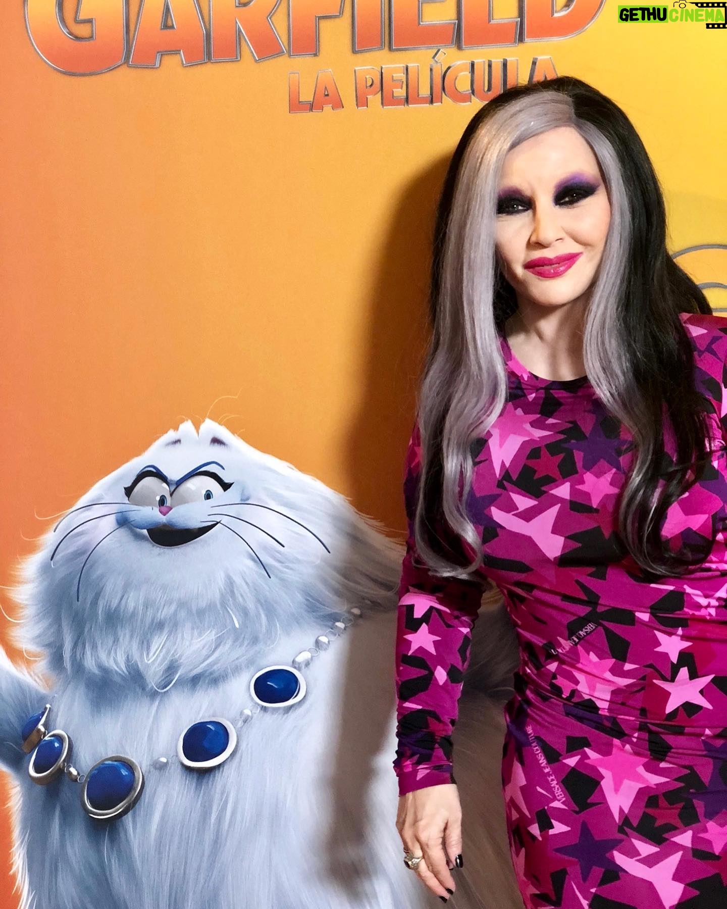 Alaska Instagram - El 1 de mayo se estrena en cines #GarfieldLaPelícula y he tenido la suerte de poner a voz a la gatita Jinx. Y también soy muy suertuda por compartir experiencia con @ssantiagosegura y @pepe_rodriguezrey. Gracias @sonypicturesspain por contar conmigo para estas aventuras animadas. Y, enhorabuena, la película es una maravilla. 😻😸😽😻😼😺😻😺😼😻😽😸😻 * Esta publicación es una comunicación sobre mis diversas actividades profesionales - es información para mis seguidores - entiendo que la libertad de compartir esto se sobrentiende en la naturaleza misma de las redes sociales