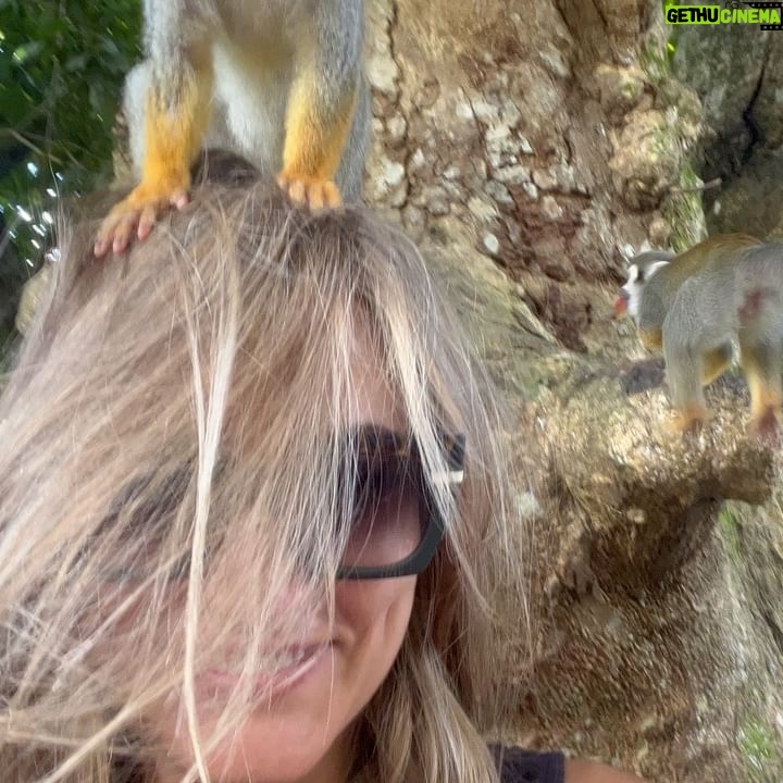 Alba Carrillo Instagram - Una monada de mañana🐒 saltando de rama en rama 🌴 #tirolina #monitos #Soltour #ViajamosContigo #VerdadVerdadera @soltouroficial