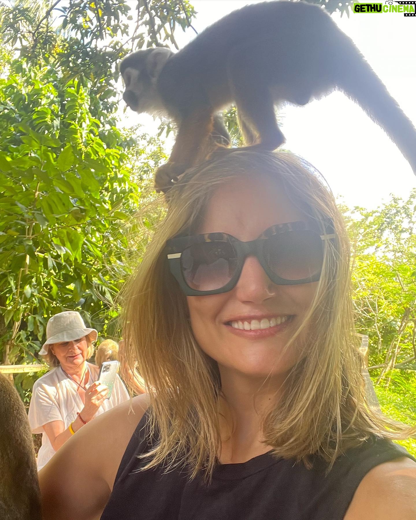 Alba Carrillo Instagram - Una monada de mañana🐒 saltando de rama en rama 🌴 #tirolina #monitos #Soltour #ViajamosContigo #VerdadVerdadera @soltouroficial