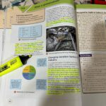 Alba Carrillo Instagram - Nuestras tardes se pasan entre libros. En 1o de la ESO, hay un examen diario o trabajos o proyectos que hacer o entregar. La parte positiva es que refresco cosas que tenía dormidas🙌🏼 Nos hemos “aficionado” a repasar en la pizarra blanca y, la pobre, da más vueltas por la casa que el baúl de la Piquer. Legend, se pone al lado de Lucas mientras repasa y parece que le “sopla” la lección🐶💨📖🤣😍 El abuelo, pone cada día una palabra nueva cuando no hay nadie usando la pizarra. Hoy, ha aparecido: Recoleto/s. Hablamos sobre ella y vemos cómo usarla para ampliar nuestro vocabulario. Nos vamos a dormir, cuidado con los lugares recoletos, ahora que ya es de noche😉🌙