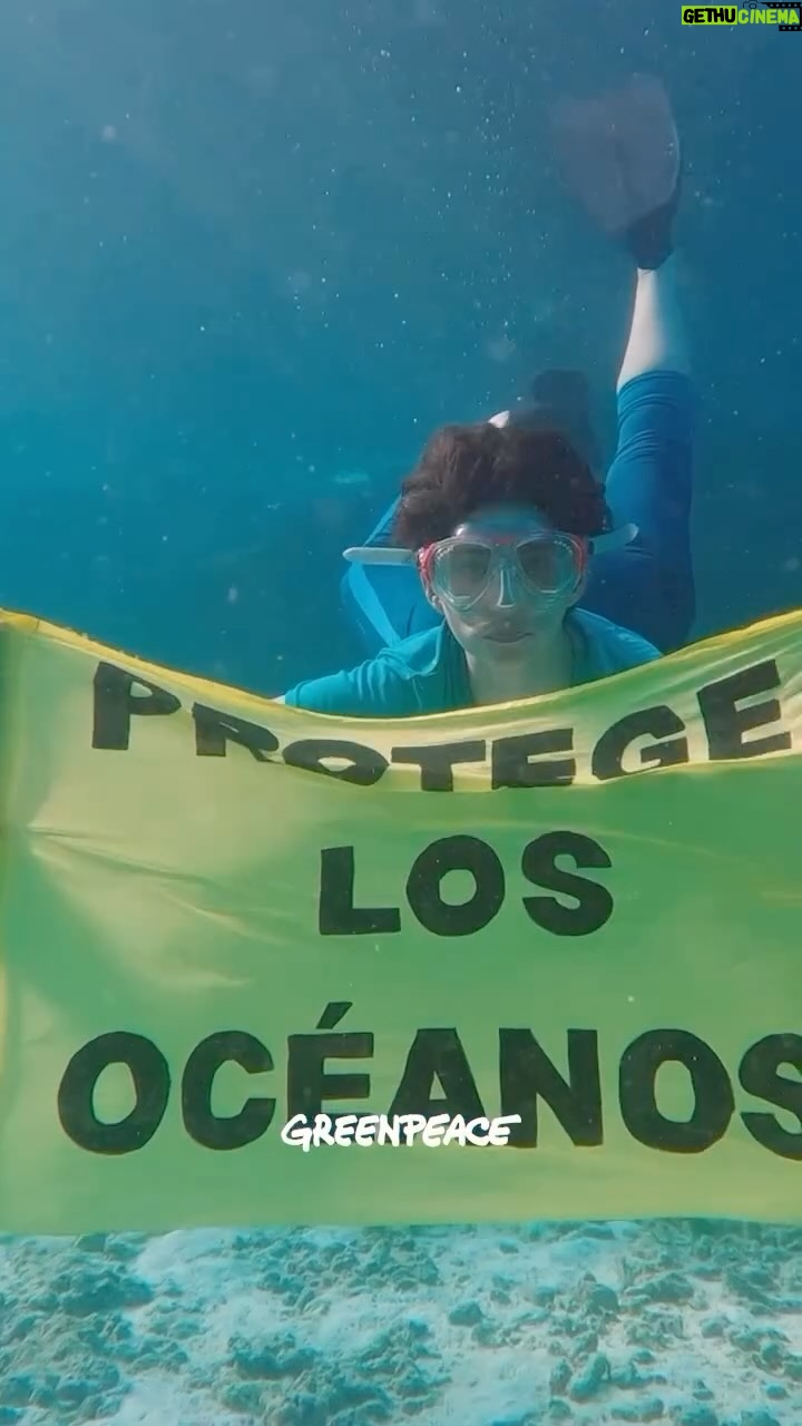 Alba Flores Instagram - 🌊¿De qué sirve el Tratado Global de los Océanos si los países no lo ratifican? Spoiler: DE NADA @albafloresoficial ha podido observar de primera mano cómo creando una red de santuarios en todo el mundo podrían proteger la vida marina 🐡🦈🪸 💪Necesitamos que los Gobiernos ratifiquen YA el Tratado Global de los Océanos. Únete y protege los océanos. Firma nuestra petición en 👉👉LINK EN BIO