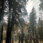 Aleksandra Bortich Instagram - Что? Вы тоже не знали, что в Переделкино - просто отвал всего? Мы тоже не знали и теперь в шоке! Приедем ещё 🤍