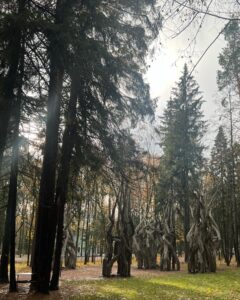 Aleksandra Bortich Instagram - Что? Вы тоже не знали, что в Переделкино - просто отвал всего? Мы тоже не знали и теперь в шоке! Приедем ещё 🤍
