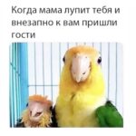 Aleksandra Bortich Instagram - вот такое, например