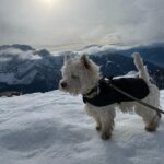 Alessandra Mastronardi Instagram – Le Dolomiti .. famiglia 🤍