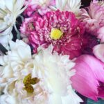Alessandra Mastronardi Instagram –