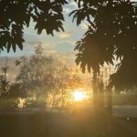 Alessandra de Rossi Instagram - Sunsetssssss 💕
