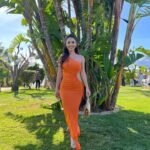 Alessia Macari Instagram – Jungle vibes in the Algarve 🇵🇹 #wedding #algarve #portugal