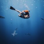 Alex Lange Instagram – meet my shark friends 👋🏼