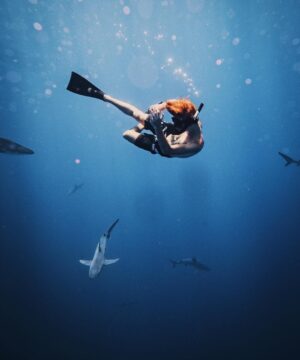 Alex Lange Instagram - meet my shark friends 👋🏼