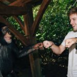 Alex Lange Instagram - growing up with south african family, we always knew that animal conservation was a top priority in our lifetime- so learning from the @rarespeciesfund about their work was incredible. we got to spend some time with these animals at @myrtlebeachsafari and had the best moments, a reminder that we all need to do our part.