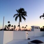 Alex Lange Instagram –