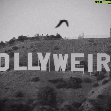 Alex Lange - 14.5K Likes - @poorstacy & @travisbarker 🎬 “Hills Have Eyes”, directed by my brother @mooch ..