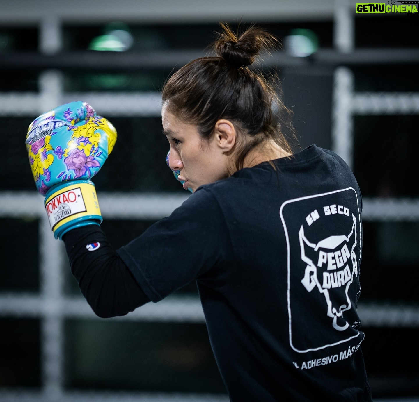 Alexa Grasso Instagram - El adhesivo más seguro 💥 Otro año juntos @pegaduromedia 😍🎁✨ Estoy muy agradecida por su apoyo, fue un gran año! #PegaDuro #patrocinadoroficial #calidad #seguridad #confianza • • • 📸 @desautomatas