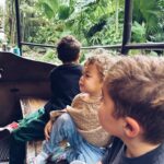 Alexa PenaVega Instagram - What a magical day! A belated bday celebration for our Oceanito. Feliz cumpleaños Ocean!!! A big gracias to  @disneyparks @waltdisneyworld AND our amazing guide Dana for making it as magical as we dreamed it would be! #WaltDisneyWorld #DisneyHolidays @disneyworld.latino #DisneyFamilia #spanglish Ps. Kingston is still crushing hard on all the princesses. He’s determined to marry Rapunzel FOR REAL. 🤣