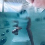 Alexa PenaVega Instagram – Carlos gettin artsy fartsy with these angles 🤣
