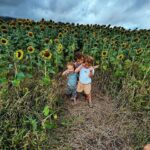 Alexa PenaVega Instagram - 🌻♥️