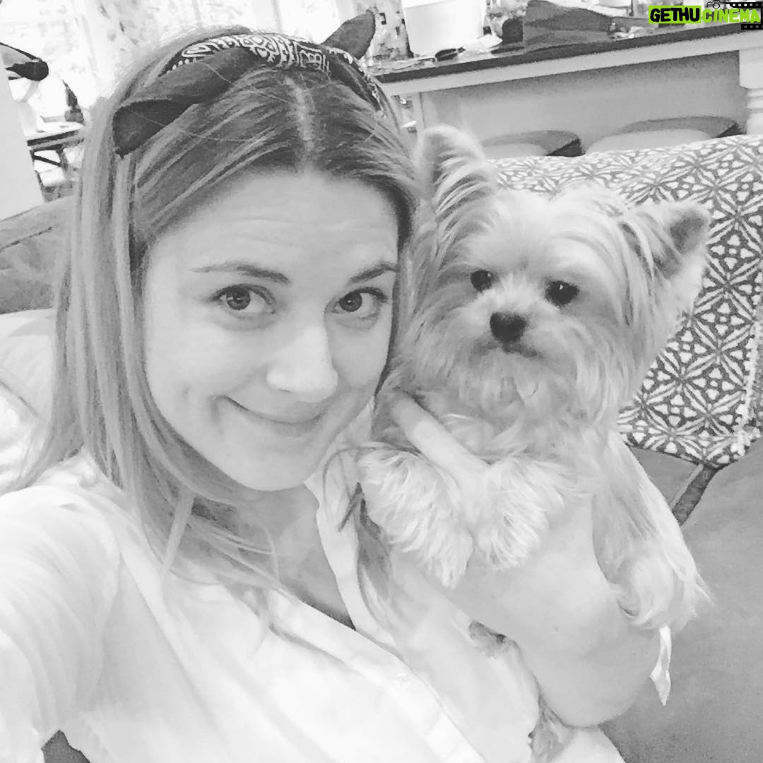 Alexandra Breckenridge Instagram - Hi.
