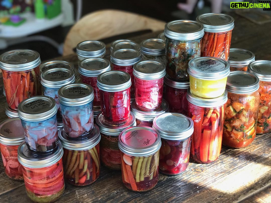 Alexandra Breckenridge Instagram - What did you do this weekend? Oh just a lazy Sunday pickling... @swanloon @swhang791 @gingerzarse @meagan_hoffman_