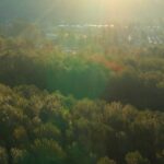 Alexandra Breckenridge Instagram - Full length trailer!