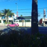 Alexandra Breckenridge Instagram – Spotted!!! My long lost stalker!