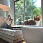 Alexandra Breckenridge Instagram – She knows the sweet spots. 
#sweetpea