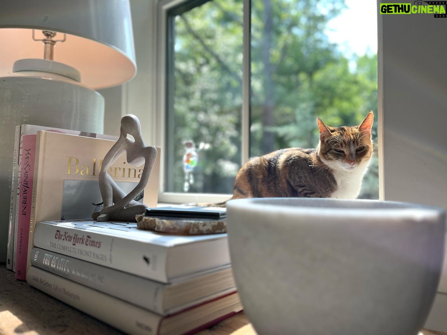 Alexandra Breckenridge Instagram - She knows the sweet spots. #sweetpea