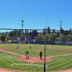 Alexandra Breckenridge Instagram - Good ole game of baseball here in Canada 🇨🇦