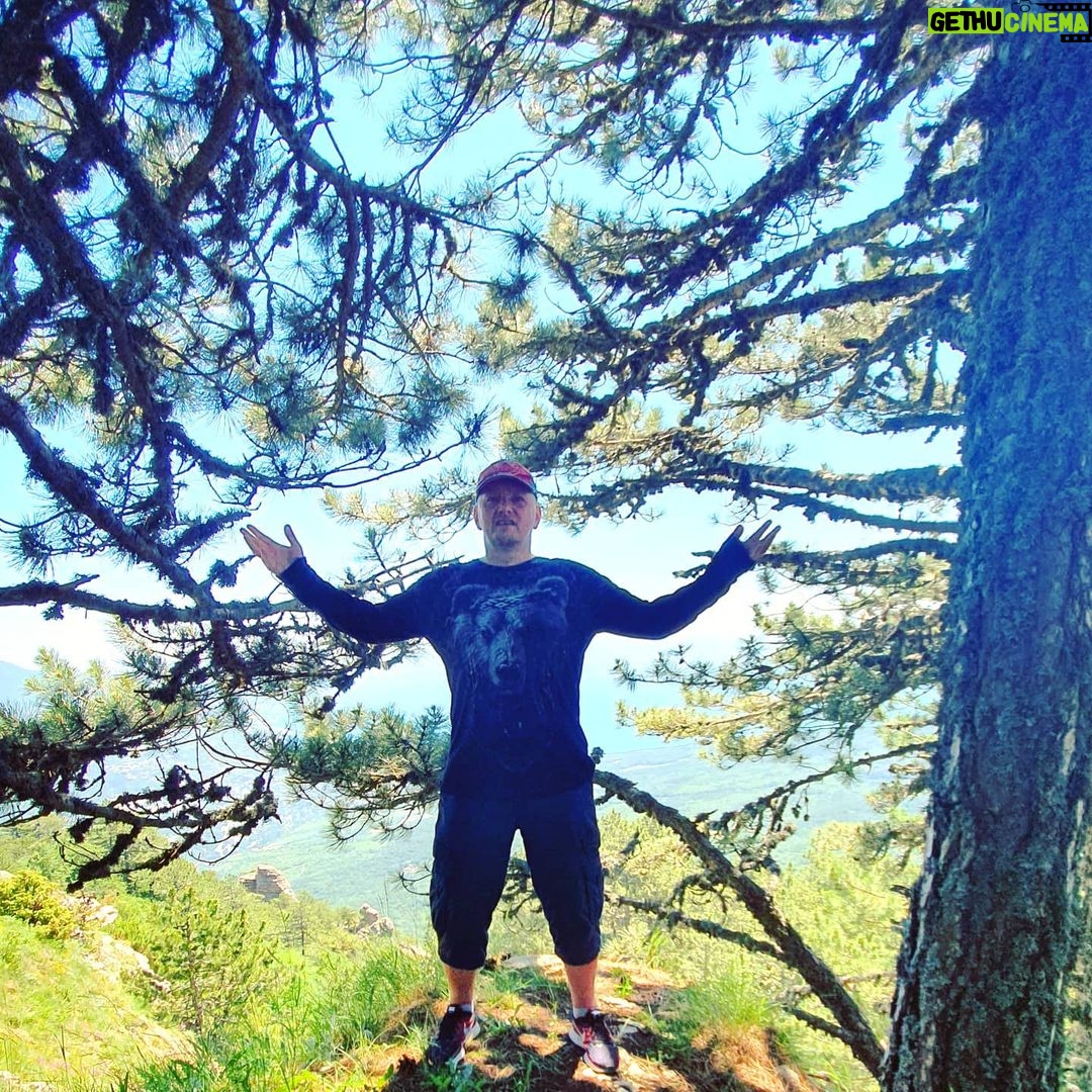 Alexey A. Petrukhin Instagram - ДЕРЕВЯННЫЙ ЧЕЛОВЕК ИЛИ ЖИВОЕ ДЕРЕВО? #Деревья появились на Земле раньше человека, но их, почему-то, не принято воспринимать как #живыесущества... 🤔 А вот один лесничий рассказывает, как он заметил, что деревья общаются между собой, передают информацию с помощью запаха, вкуса и электрических импульсов, и как он сам научился распознавать их беззвучный язык 🤷♂️ Вот и я рассуждаю, как же #дерево, срубленное десять или столетия назад, могло до сих пор жить? Без листьев дерево не может осуществлять #фотосинтез, то есть не может превращать солнечный свет в питательные вещества... Этот вопрос раскрыли #ученые, которые выяснили, что соседние деревья помогают другим через корневую систему либо напрямую, переплетая #корни, либо косвенно — создают между собой вокруг корней как бы грибницу, которая служит своего рода расширенной нервной системой, соединяя далеко стоящие деревья ✊ Почему деревья — настолько социальные существа? Почему они делятся едой с представителями своего вида, а иногда даже идут дальше, чтобы накормить соперников? 🤔 Причина та же, что и в человеческом сообществе: быть #вместе — это преимущество 👈 Дерево — это ещё не лес. Дерево может быть настолько сильным, насколько силен лес вокруг него, понимаете меня? 🤞 . #мысливслух #мысли #ожизни #олюдях #оприроде #сильный #Таракташ #виды #вид #таракташскаятропа #view #айпетри #ветки #природа #медведь #редкоедерево #рсм #рдш #мывместе #бытьвместе #АлексейПетрухин Таракташская тропа