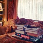 Alexey A. Petrukhin Instagram – #Bengalcat 👌 Те, кто читают, всегда будут управлять теми, кто только смотрит 🤷‍♂️ Знакомьтесь, это наша #хозяйка дома, у которой мы живём и на которую мы всей семьей работаем… Королева Марго в своей библиотеке 🤫 А у Вас как, разве не также? 🤔 
#кошки #котэ #бенгалы #бенгальскиекошки #дикиекошки #Марго #главныйкотик #weekend #bengalcat #bengal #cat #bengalofinstagram #catofinstagram #catoftheday #margocat #библиотека #книги #scrabble Николина Гора