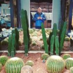Alexey A. Petrukhin Instagram - #Cactuslook 🤣 Кактус — это глубоко разочарованный в жизни огурец. Так и есть ведь, что посеешь, то и пожнешь... Зря этой пословице мы в жизни так мало придаём значения... ох, как зря... 🤔 #кактус #пословицы #мысливслух #мораль #cactus #look Luckin Coffee 瑞幸咖啡