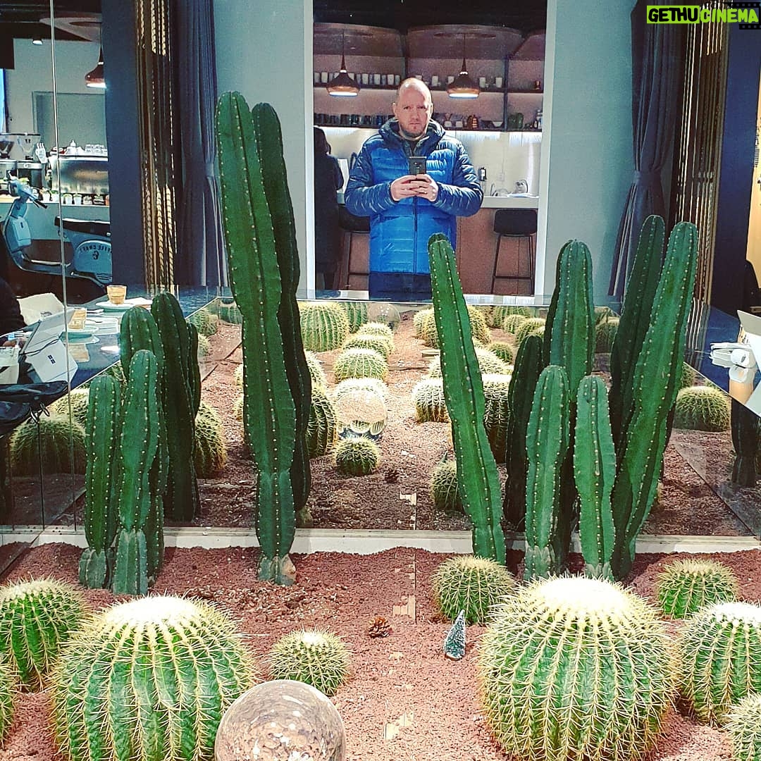Alexey A. Petrukhin Instagram - #Cactuslook 🤣 Кактус — это глубоко разочарованный в жизни огурец. Так и есть ведь, что посеешь, то и пожнешь... Зря этой пословице мы в жизни так мало придаём значения... ох, как зря... 🤔 #кактус #пословицы #мысливслух #мораль #cactus #look Luckin Coffee 瑞幸咖啡