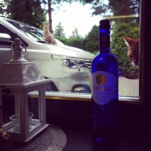 Alexey A. Petrukhin Instagram - ОКАЗЫВАЕТСЯ, НЕ ТОЛЬКО Я ЛЮБЛЮ чистейшую  природную воду @tassay_water в составе которой есть все необходимые организму микроэлементы: #магний #калий #натрий #кальций и ещё кое что👌 

Вы же знаете, что на кошках всегда можно проверить свежесть и качество продуктов... Наши #бенгалы сразу видят качество! Ведь добывают эту воду в скважине на глубине 250 метров в предгорьях #ТяньШань 👇 Вода не только вкусная, но и красиво оформлена в яркой стеклянной бутылке! #Рекомендую 👍

Фрося на второй фотке в карусели тоже пришла на #водопой 😉 

#tassaywater #тассай #вода #минеральнаявода #вкусно #живаявода #водныйбаланс #дикиекошки #кошаки #котэ #бенгальскаякошка #бенгальскаяпорода #Марго #Фрося #bengal #bengaloftheday #catoftheinstagram #cat #Margocat #water #кошкиивода #кошкиисобаки