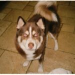 Alexis Jayde Burnett Instagram - some pictures taken on my film camera