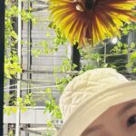Ali Lee Instagram – 迎春接福 
今天的太陽是新的 ☀️

這些都是
能讓我持續快樂的 :)

#goodvibes 
#ALife