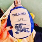 Alice Braga Instagram – Sobre dias incríveis em Londres com @burberry pra ver o desfile e fazer um editorial lindo que sai em breve na @voguebrasil 

Styling @ritalazzarotti 💛
Hair @garethbromell 
Make Up # Emma Lovell
Partner in crime @crisnaumovs 💙