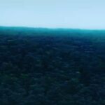 Alice Braga Instagram - O Brasil já sente o custo da seca. Está na conta de luz, do supermercado. No sufoco das indústrias e do agro. E tudo isso só vai piorar se a Amazônia for desmatada. Porque sem Amazônia, não tem água, não tem progresso. Sem Amazônia, não tem Brasil. #DiaDaAmazônia #5deSetembro