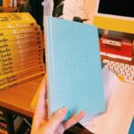 Alice Oseman Instagram - My novella NICK AND CHARLIE is out in the US/Canada in hardcover on Jan 3rd 2023 and I finally have a copy of it!!! I am actually obsessed with how this cover turned out. Perfect snuggly cosy Nick and Charlie vibes!!! ☀️🌙 You can preorder now from most book retailers!
