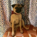 Alice Oseman Instagram – Heartstopper S3 is wrapping TODAY! 🎬

We have a few more hours of our final day to get through, but I wanted to express how deeply grateful I am to the cast and crew for their hard work, dedication, skill and endurance over the past 11 weeks, and for once again bringing a season of Heartstopper to life. Season 3 takes Heartstopper into uncharted territory and it presented a range of new challenges for our cast and crew, but everyone did the most incredible job and I am so excited to share what we’ve all been working on.

Now back to our final shooting day of this season… 🌊