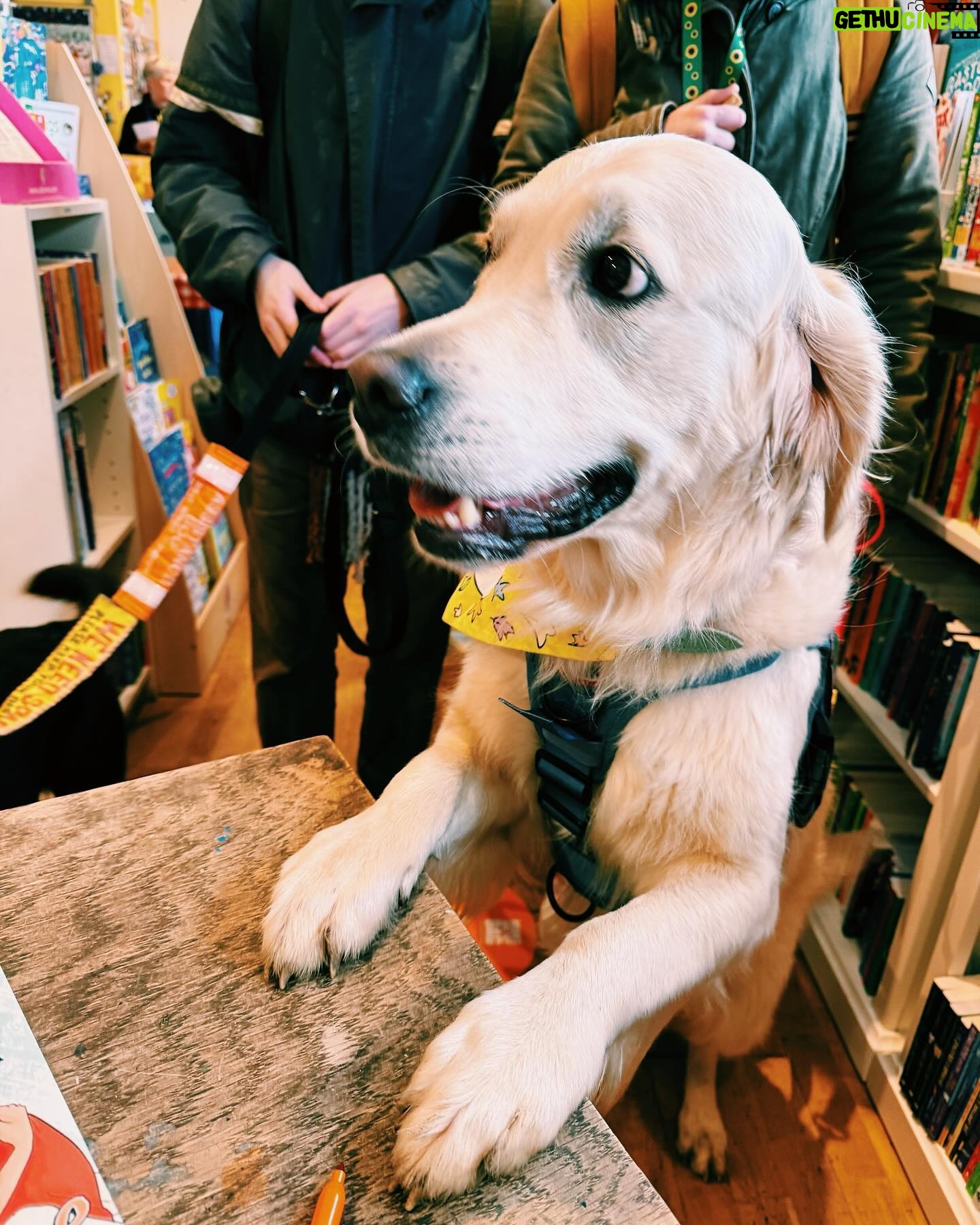 Alice Oseman Instagram - Thank you so much to everyone who came to see me on my little book tour this week, and thank you to the bookshops for having me!! It was so lovely to meet so many readers (and cute dogs!!) 📚