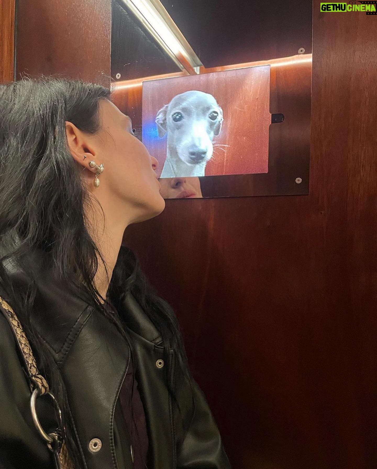Alice Pagani Instagram - cute pictures from my gallery