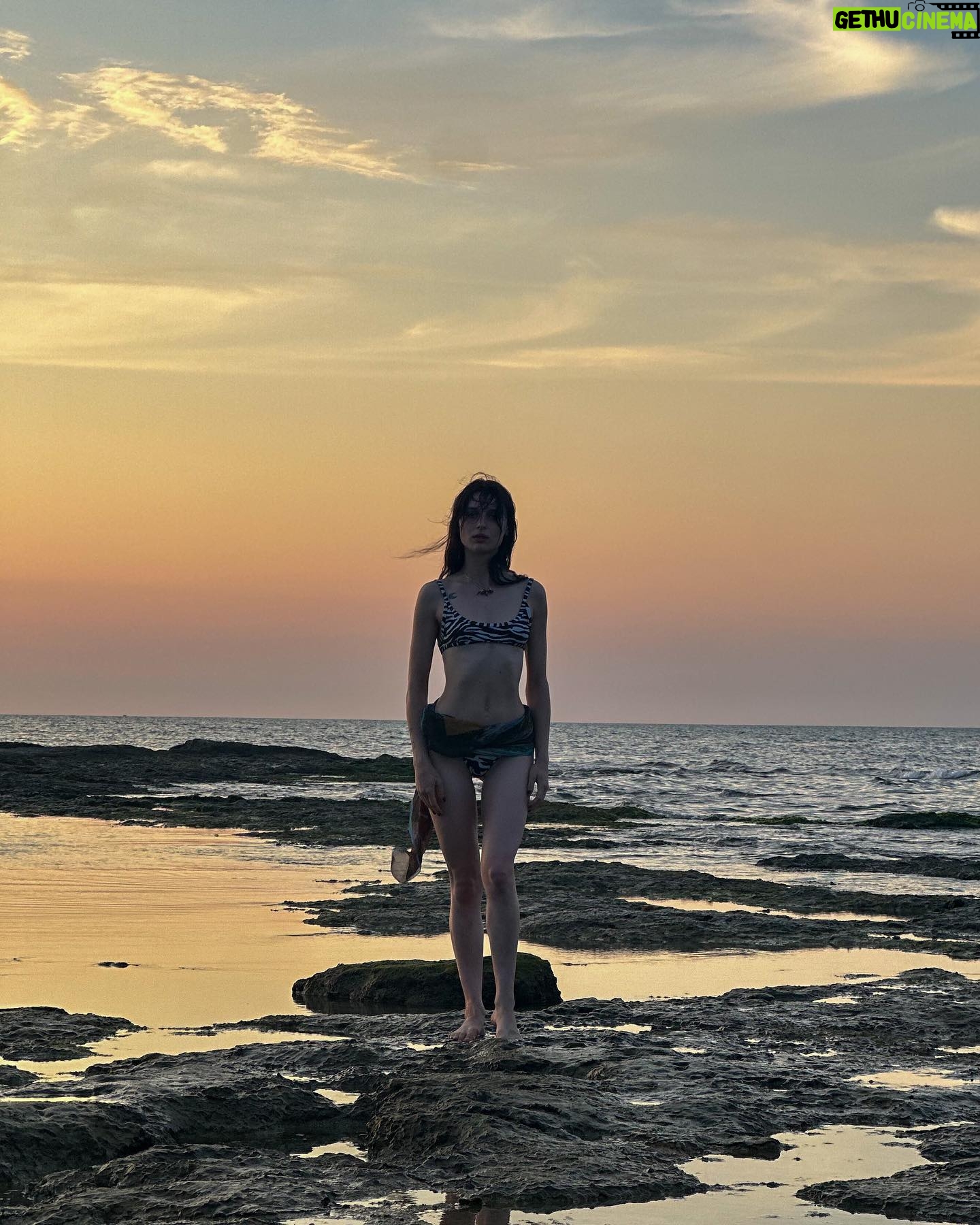 Alice Pagani - 242.3K Likes - …exploring 🏴☠️