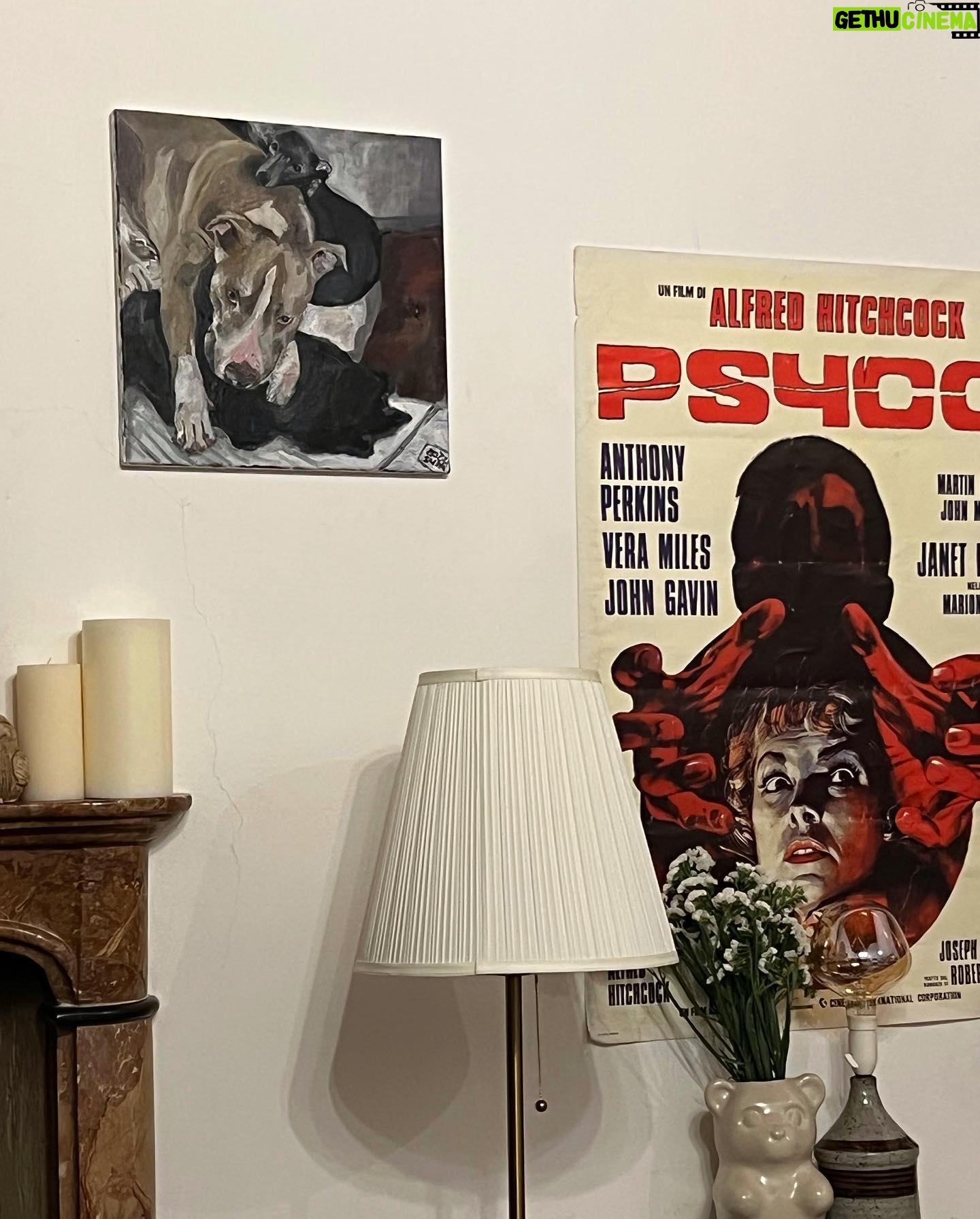 Alice Pagani Instagram - 2023 is starting and we have been furnishing our new country house for weeks. Our puppies love the new fireplace and yesterday we cooked chestnuts in it. It was magical. I am grateful that I spent these holidays in a warm house and for receiving so much love.