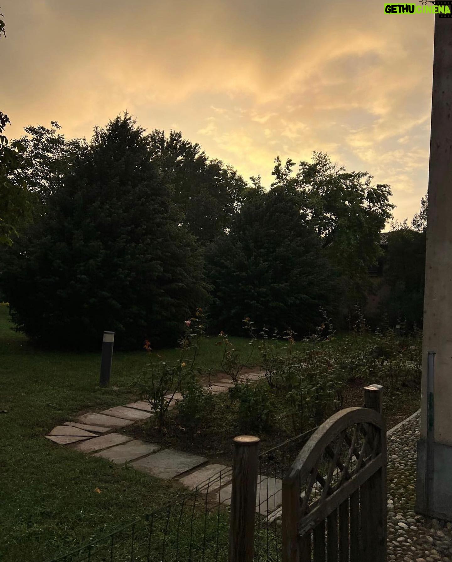 Alice Pagani Instagram - 2023 is starting and we have been furnishing our new country house for weeks. Our puppies love the new fireplace and yesterday we cooked chestnuts in it. It was magical. I am grateful that I spent these holidays in a warm house and for receiving so much love.